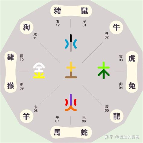 生肖五行顏色|五行命理！12生肖的幸運數字和顏色